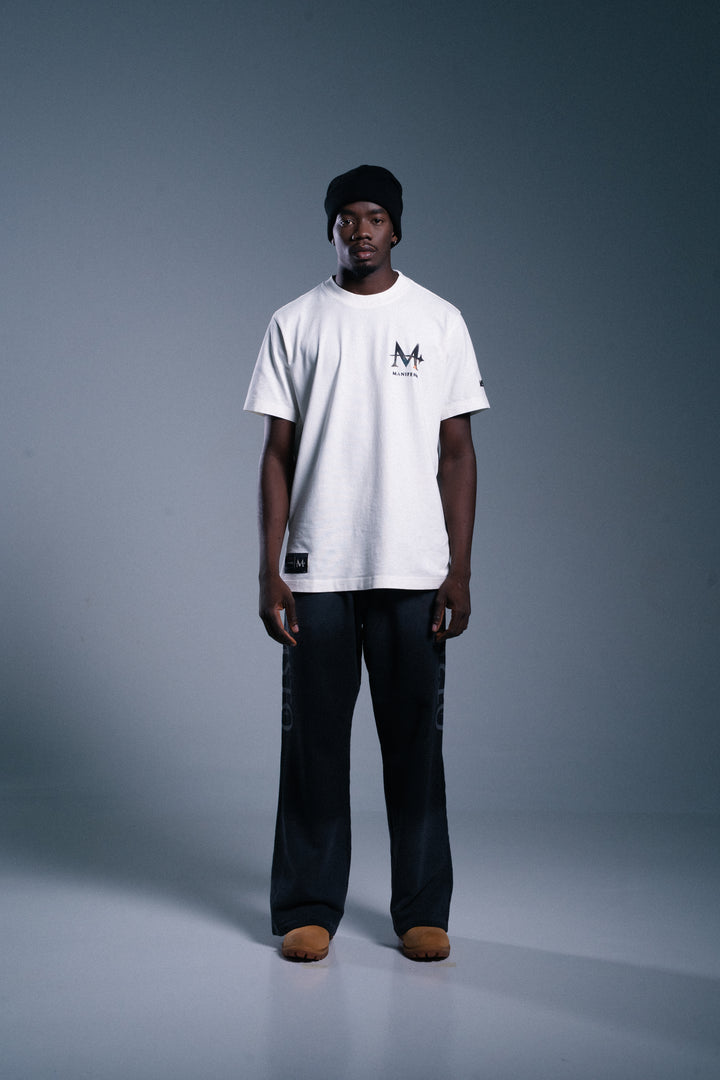 Camiseta Regular Tormenta de Galilea