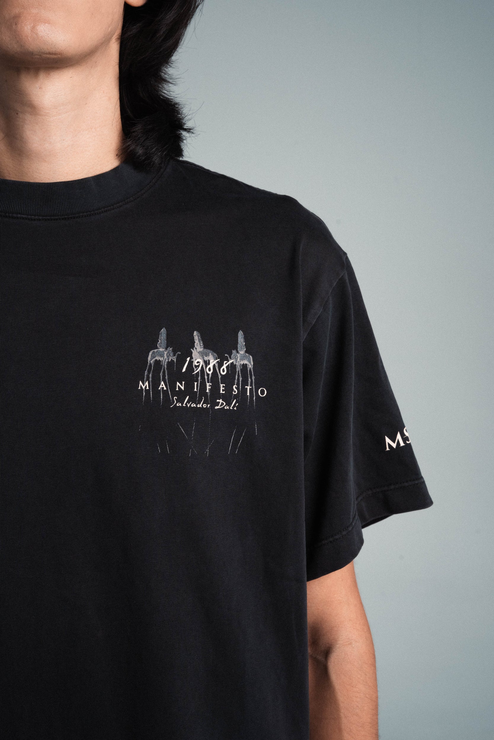 Camiseta Regular Elefantes Dalí Old Wash