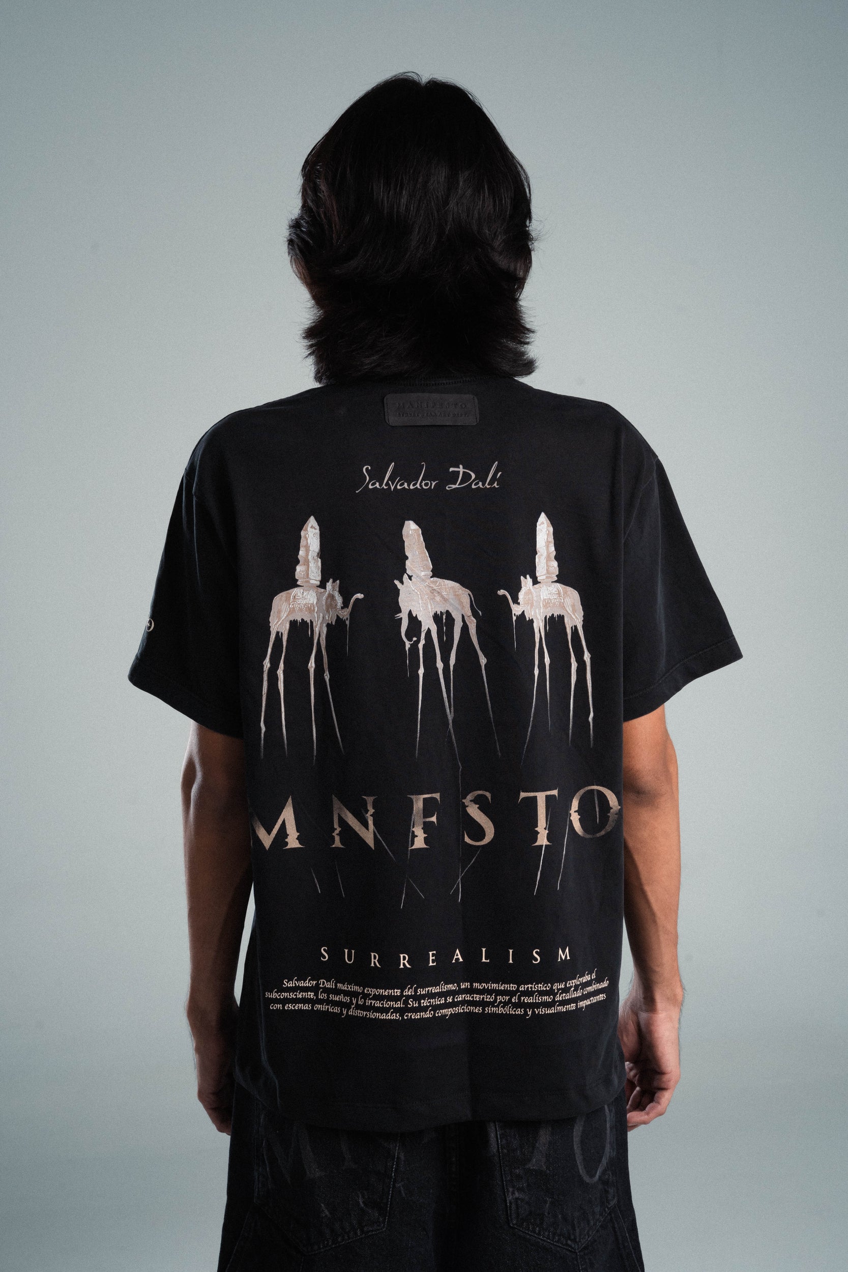 Camiseta Regular Elefantes Dalí Old Wash