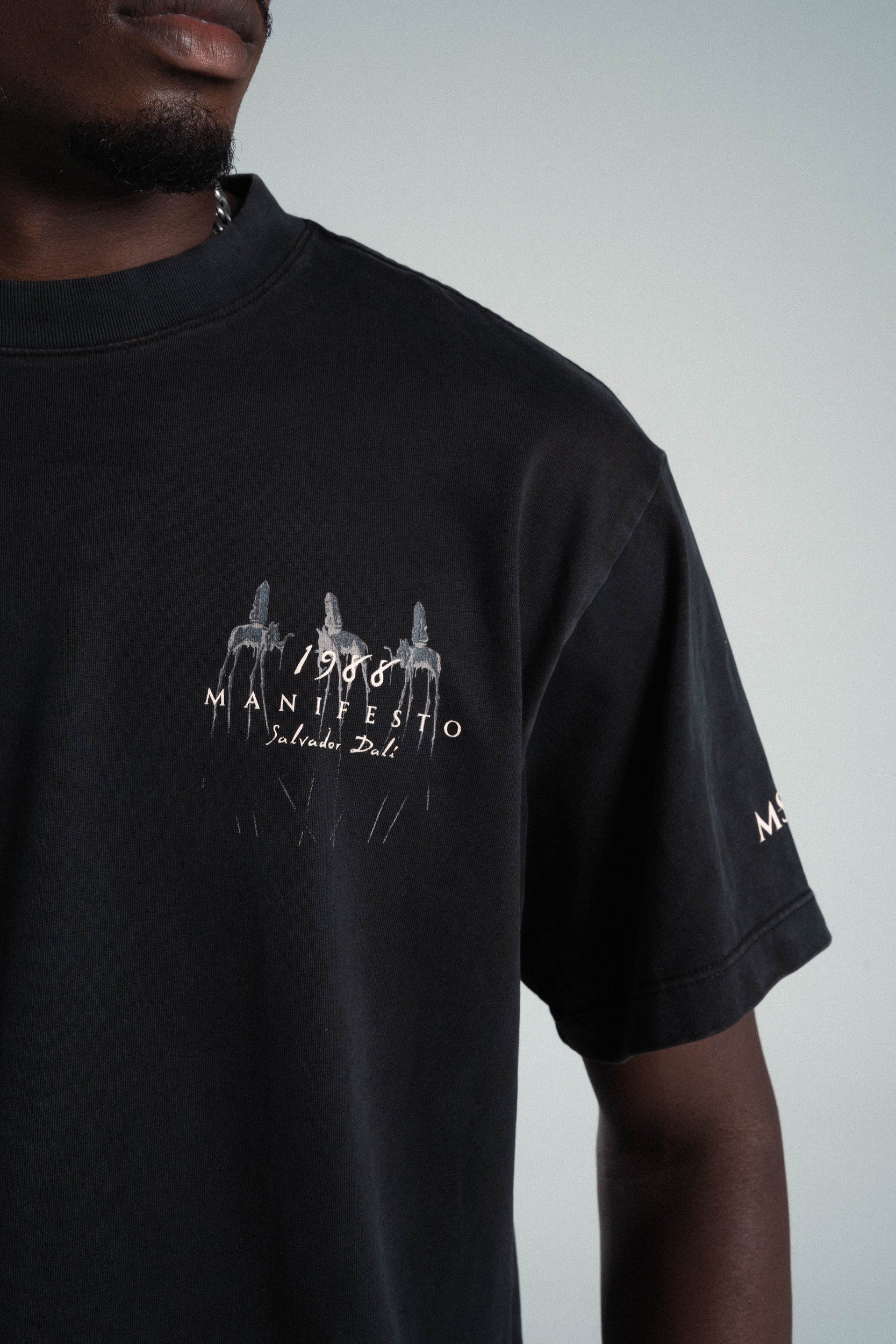 Camiseta Regular Elefantes Dalí Old Wash
