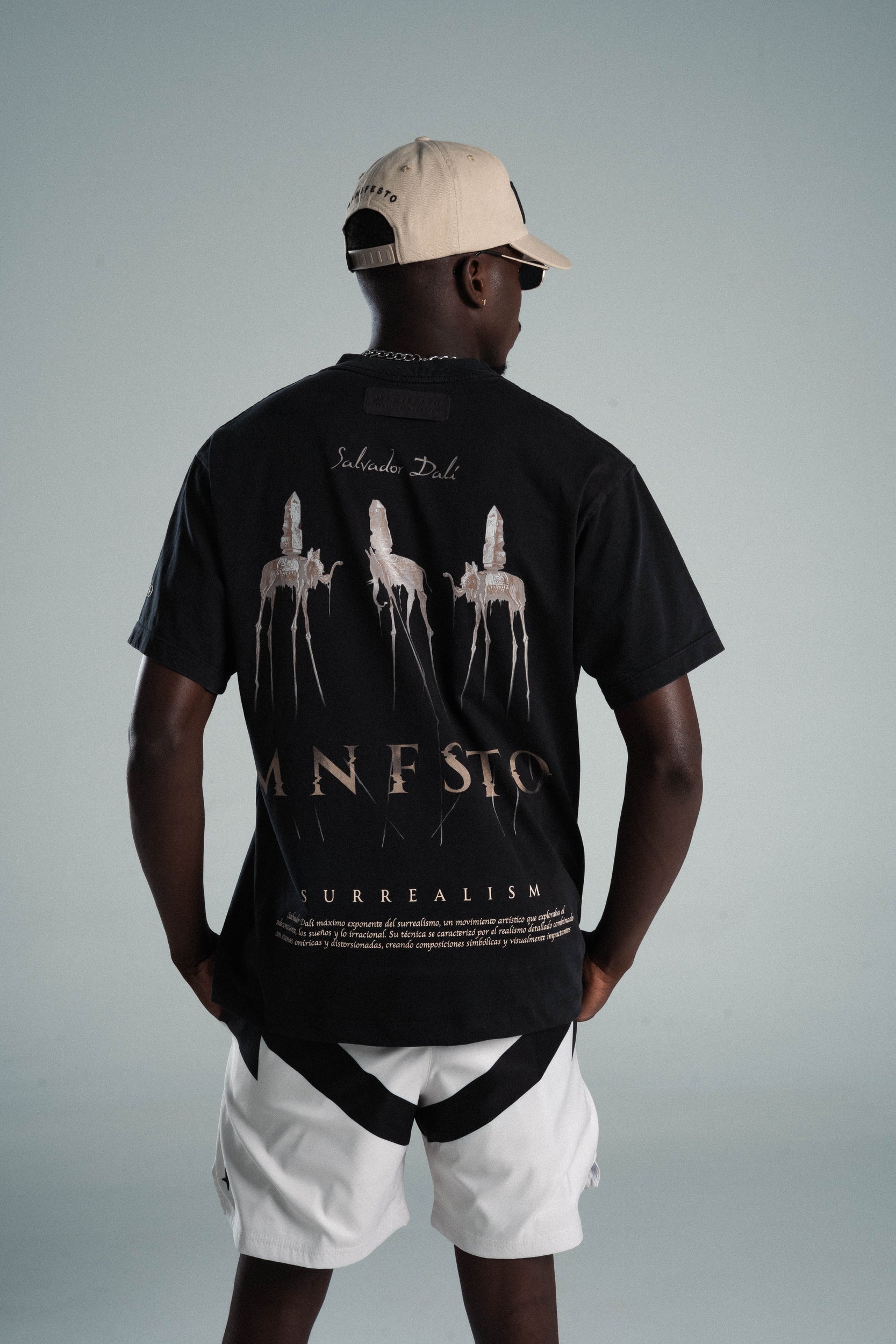 Camiseta Regular Elefantes Dalí Old Wash
